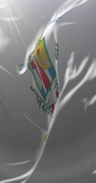 Flag of Province of Alajuela, Costa Rica. Loop. 4K Vertical