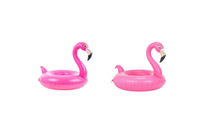 Pink flamingo float on transparent background png