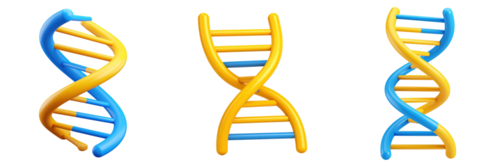 3D Plastic Style DNA Helix Model Against Transparent Backdrop Showing Yellow And Blue Twisted Geometric Structures For Science And Biology Concepts