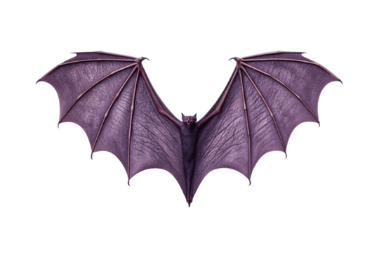 Dark purple bat with fully extended wings showing membrane details and natural flight posture positioning, isolated on a transparent background