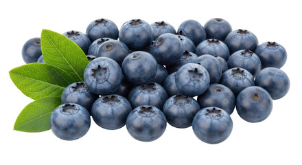 Isolated Pile of Blueberries with Leaves