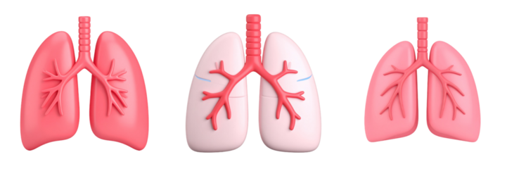 3D Plastic Style Illustration of Human Lungs Depicting Respiratory System in Pink with Anatomical Details on Transparent Background