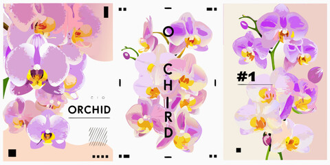 Elegant Purple Orchid Floral Designs for Branding