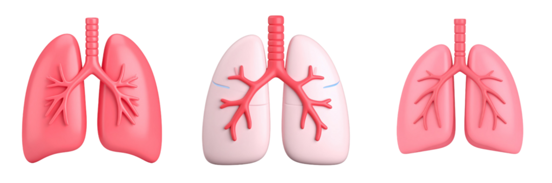 3D Plastic Style Illustration of Human Lungs Depicting Respiratory System in Pink with Anatomical Details on Transparent Background