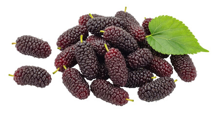 Isolated Pile of Mulberries with Leaf