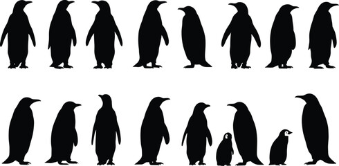 Penguin silhouette vector, antarctic bird illustration, wildlife animal design, black and white penguin artwork, cold climate species graphic, arctic nature pattern, decorative element