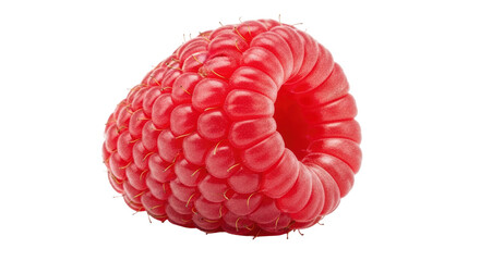 Isolated Single Raspberry