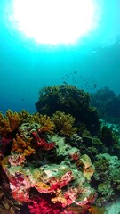 Underwater coral reef scene (2)