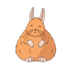 Illustration of a viscacha, South American animal related to chinchilla. Cute wildlife art.