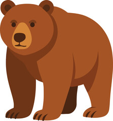 brown bear vector illustration