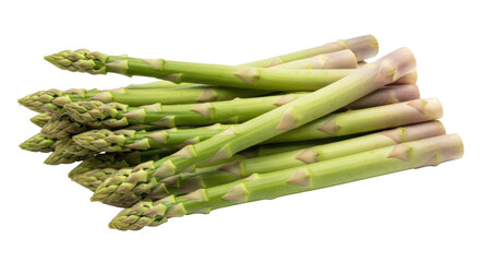 Isolated Bunch of Asparagus