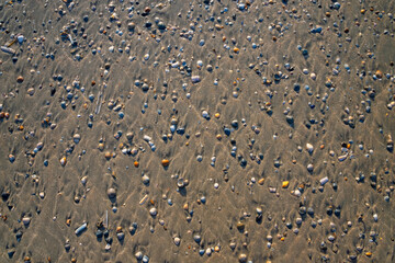 Beach background pattern with hundreds of colorful sea shells lying on the sand at low tide. Mussels, fragments of shells in grey, white, orange, brown, blue. Natural reserve “Wattenmeer“ Germany