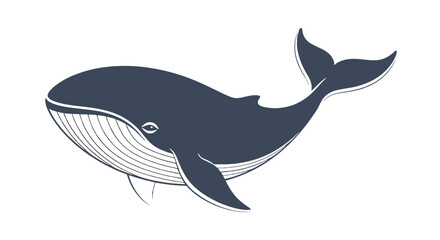 Obraz premium Illustration of a dark blue whale with white lines on its belly and a white background beautifully drawn on transparent background