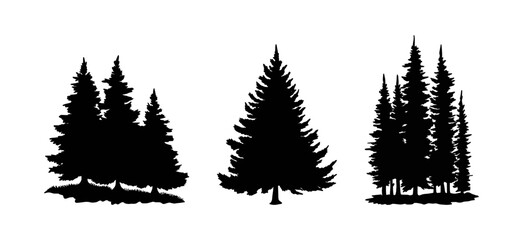 Fototapeta premium Set of Pine Tree and Evergreen Silhouettes