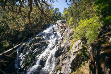 Sunlight filters through the trees, illuminating a waterfall cascading down a rocky mountainside, surrounded by lush green forest