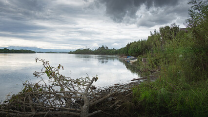 Serene landscape featuring calm river reflecting cloudy sky, surrounded by lush greenery and fallen...