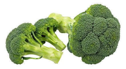 Isolated Broccoli