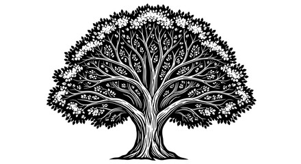 Detailed illustration of a deciduous tree with a full canopy of leaves isolated on white background