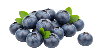 Isolated Blueberries
