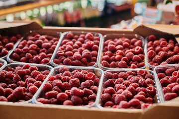 Organic farmers market store with local produce