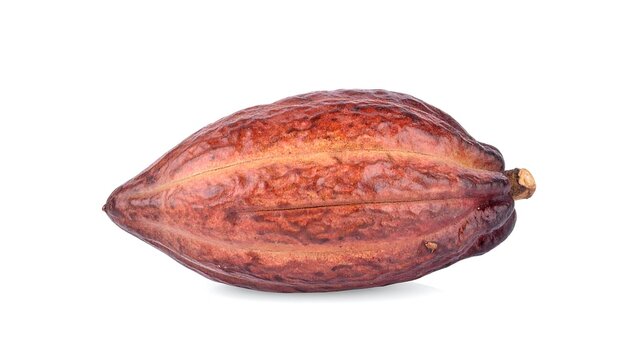 Isolated Cacao Pod: A Close-Up of the Textured, Reddish-Brown Fruit on a White Background