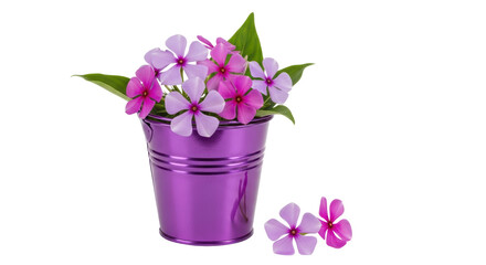 Isolated Purple Flowers in a Metal Bucket