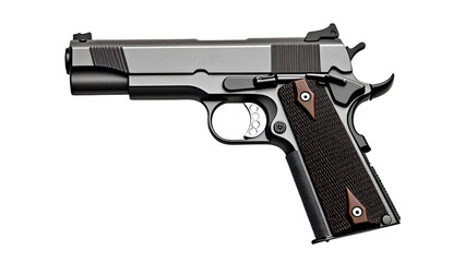 Colt government m1911