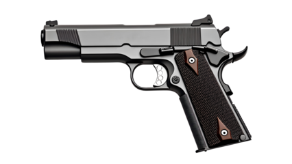 Colt government m1911