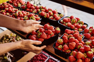 Saleswoman arranges vibrant organic strawberries in modern grocery store