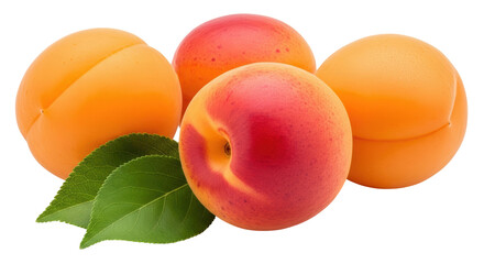 Isolated Apricots Pile