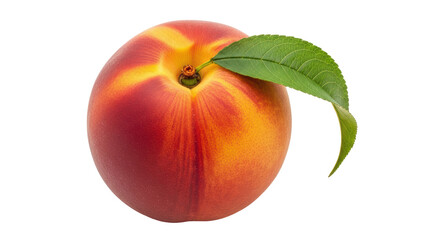 Isolated Single Peach with Leaf