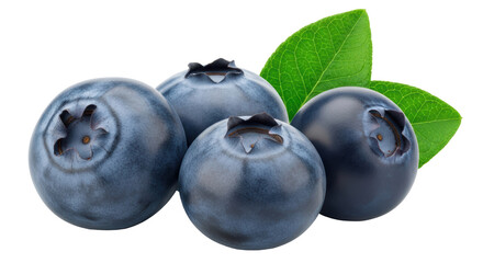 Isolated Blueberries