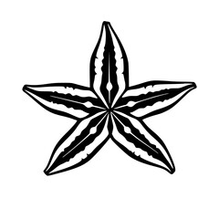 Bold stylized black vector of a starfish, emphasizing marine life and symmetry.