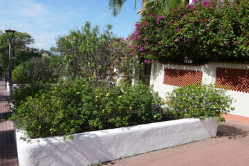 Weg und Park in Puerto de La Cruz auf Teneriffa
