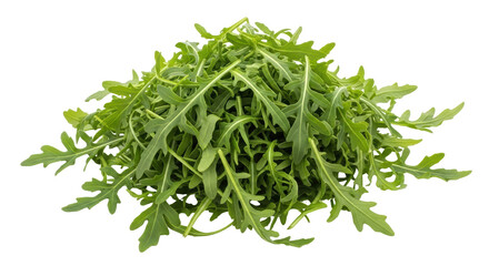 Isolated Arugula