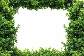 Tropical shrub bush fence tree isolated plant with clipping path. Neural network ai generated