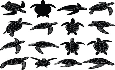 "Black Silhouette Turtle Collection, Diverse Turtle Designs, Marine Wildlife, Hand-drawn Turtle Graphics, 