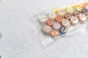 A set of small, numbered acrylic paint pots for a paint-by-numbers kit, sealed in plastic and resting on top of the corresponding canvas with its numbered outlines.