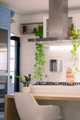 modern kitchen interior