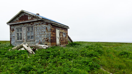 Abandoned rustic house with peeling paint and a weathered roof, surrounded by lush green grass and wildflowers, evoking a sense of nostalgia and nature's reclamation