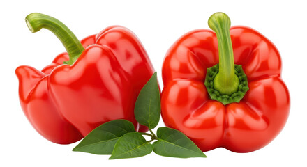 Isolated Red Pepper
