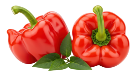Isolated Red Pepper