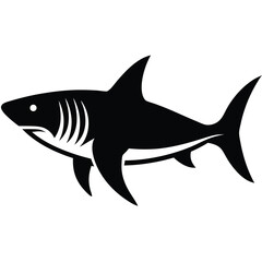 Fototapeta premium tiger shark vector fish 