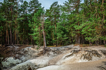 Fototapeta premium die Sandsteinhöhlen bei Blankenburg