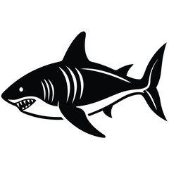 Fototapeta premium tiger shark vector fish 