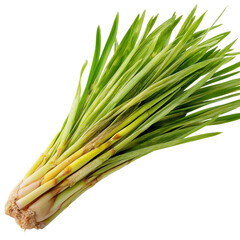 Fototapeta premium Fresh lemongrass herb culinary ingredient for asian cuisine and herbal remedy use isolated on transparent background 