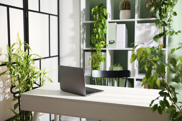 Biophilic interior design. Stylish workplace with laptop and houseplants in office