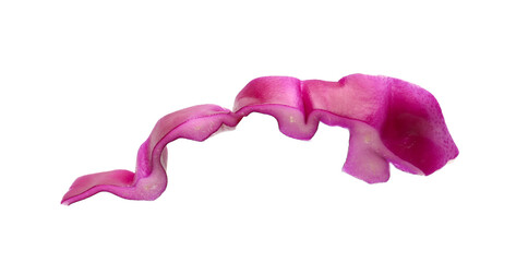 One slice of fresh red cabbage isolated on white