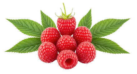 Isolated Raspberries