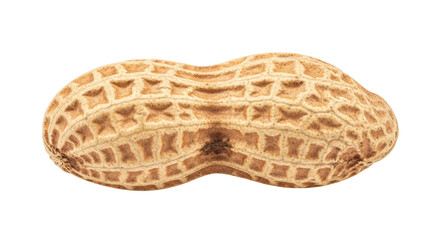 Isolated Peanut